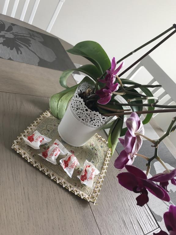 Bangu Apartamentai Palanga Ngoại thất bức ảnh